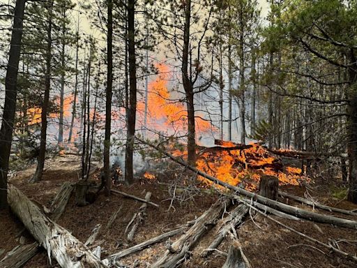 The Pearl Fire is believed to be human caused, officials say