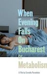 When Evening Falls on Bucharest or Metabolism