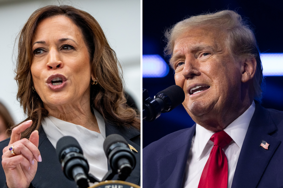 Map shows states Kamala Harris, Donald Trump are winning in polls