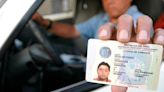 Brevete A1 2024: los vehículos que puedes conducir con esta licencia en Perú