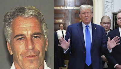 Donald Trump Flew on Jet Formerly Owned by Jeffrey Epstein to Campaign Fundraisers: Report