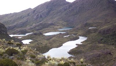 Colombia se libra de pagar US$1.000 millones tras prohibir minería en Páramo de Santurbán