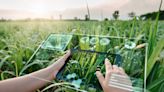 To help feed the world better, farmers turn to AI