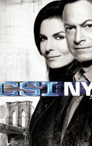 CSI: NY