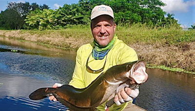 How to catch snakeheads — a fish native to China, Pakistan and Malaysia — in South Florida