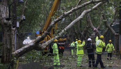 Two dead as Typhoon Bebinca hits east China before downgrading to tropical storm