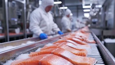 Exportación de salmones cae un 9,6% en el segundo trimestre hasta los US$1.383 millones - La Tercera