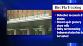 USDA taking action to prevent spread of bird flu, requires testing for dairy cows crossing state lines