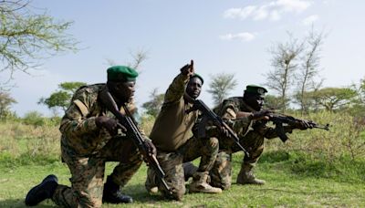 Dans un parc naturel du Tchad, le vif conflit homme-faune pour les agriculteurs