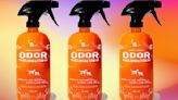 Amazon's 'miracle' pet odor eliminator is at its lowest price all year — but only 'til midnight