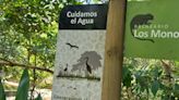 Qué es la reserva agroecológica Los Monos: un refugio de biodiversidad en Antioquia custodiado por una sola familia