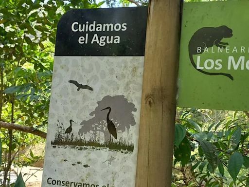 Qué es la reserva agroecológica Los Monos: un refugio de biodiversidad en Antioquia custodiado por una sola familia