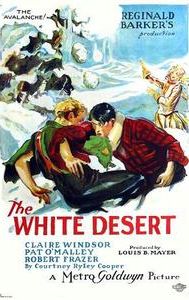 The White Desert