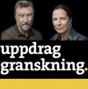 Uppdrag granskning