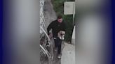 Man caught on video abusing puppy arrested in Orange County