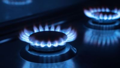 El Gobierno le corta el gas a las empresas y automovilistas para asegurar el suministro en hogares y comercios