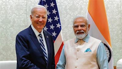 India-US relations growing despite rough edges