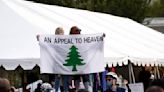 San Francisco removes Pine Tree flag, says it's tainted by something 'abhorrent and disgraceful'