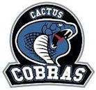 Cactus High School