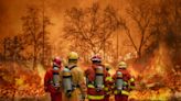 電影《無路可退》：氣候變遷猛於火！森林打火英雄真實悲劇未完待續