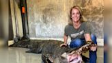 South Carolina Hunter Tags a Massive Alligator Pushing 12 Feet and 700 Pounds