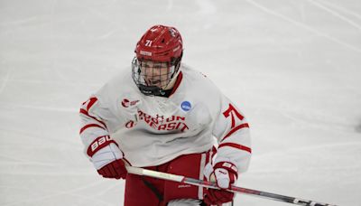 Red Wings select 15th in draft; Sharks win lottery for No. 1 pick