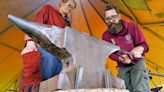 In Denmark, blacksmiths steer journey into Viking ship's past