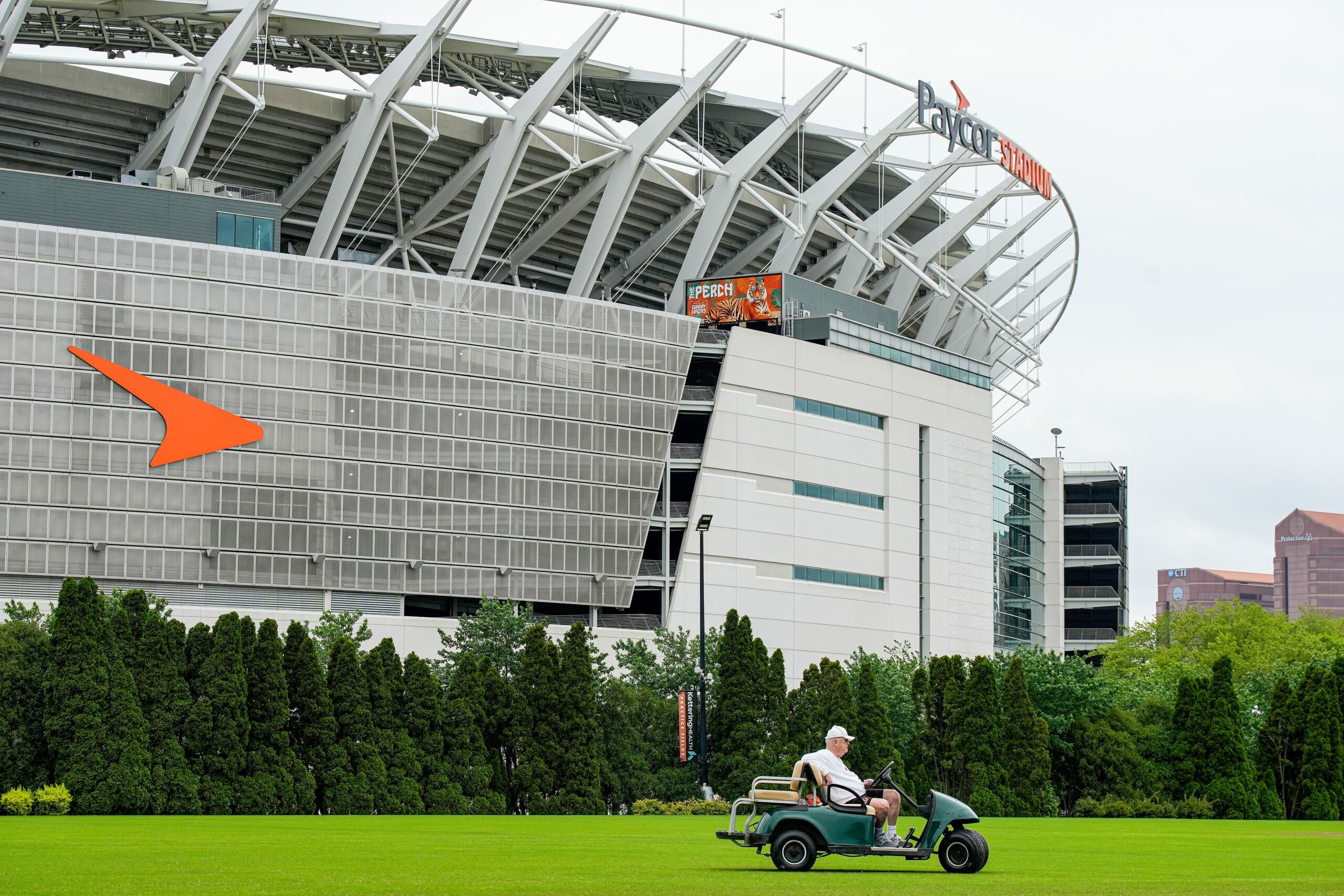 First sneak peek of Bengals’ new turf at Paycor Stadium revealed