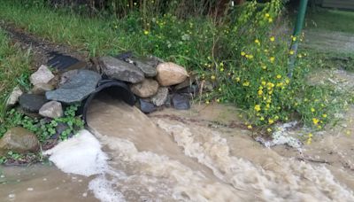 Debby spurs flash flood warnings in Chemung, Steuben, Schuyler counties. What to know.