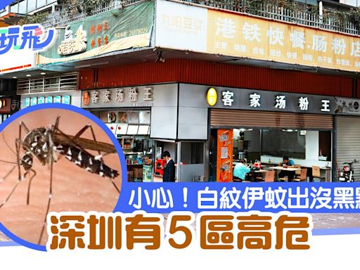 深圳玩樂注意｜最新「蚊患地圖」這5區高危 蓮塘東門皆上榜