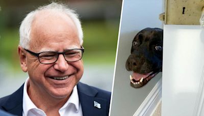 Remember the time Tim Walz's dog locked himself in the bedroom? We do