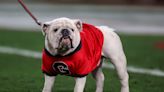 Georgia ranked atop USA TODAY post-spring rankings