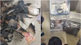 VIDEO: Thieves Burn ₹13.5 Lakh While Cutting ATM With Gas Cutter During Robbery Attempt