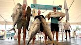 Is this tournament-winning fish a new Florida record? Local fisherman says it might be
