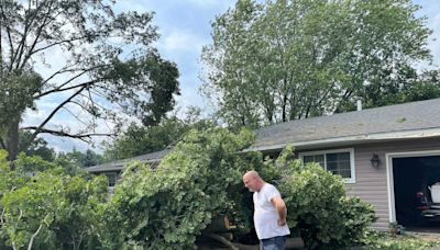 Storm damage, power outages reported in south and southwest suburbs