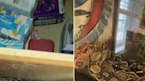 Six-foot-long snake rescued after being stuck in cabinet for 12 hours