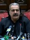 Ali Amin Gandapur