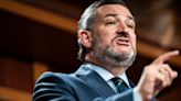 Ted Cruz Praises Guns To NRA Days After School Shooting