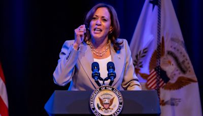 Misleading claims about Kamala Harris' childhood, ethnicity | Fact check