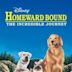 Homeward Bound: The Incredible Journey