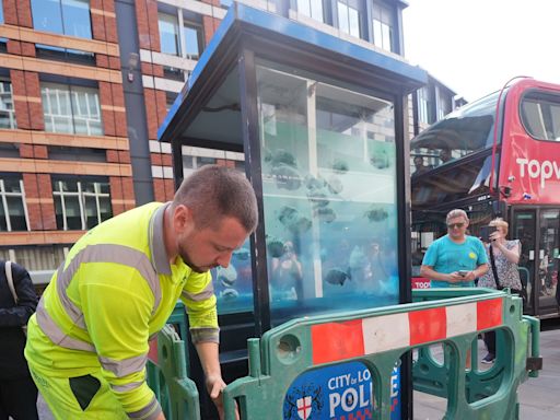 Barriers erected around Banksy’s new piranha artwork on London police box