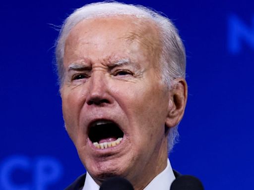 ‘Rambling’ Biden Gets Nasty With Bronze Star Democrat on Zoom Call