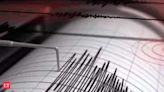 Earthquake in Baramulla: 4.5-magnitude earthquake strikes J&K