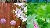 Year-round gardening: Get busy in May’s garden