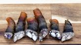 Percebes: el marisco más caro del mundo por su codiciado sabor
