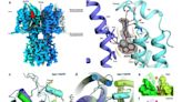 New study sheds light on potassium channels to help researchers design better drugs