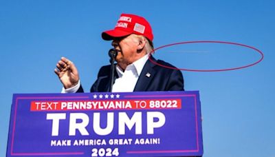 Donald Trump Rally Firing: Photo Shows Bullet Sliding Inches Away From Ex-President's Face During Attack In Pennsylvania