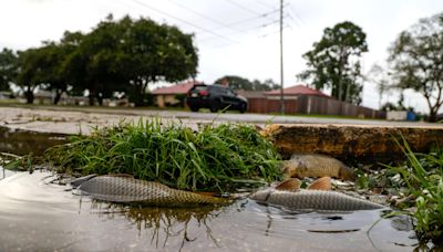 El huracán Francine se degrada a depresión tras causar inundaciones en Luisiana, EE.UU.