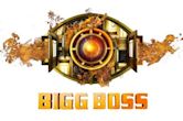 Bigg Boss (Hindi TV series) season 17