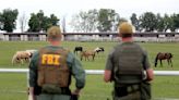 'Cowboy Cartel' tracks how FBI linked horse ranch to ruthless drug traffickers